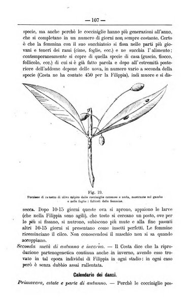 Il coltivatore giornale di agricoltura pratica