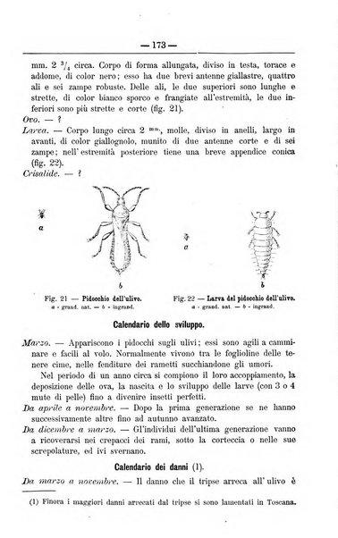 Il coltivatore giornale di agricoltura pratica