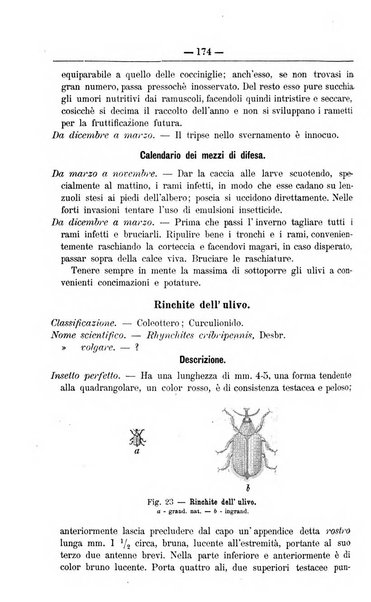 Il coltivatore giornale di agricoltura pratica