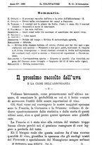 giornale/TO00181640/1891/unico/00001127