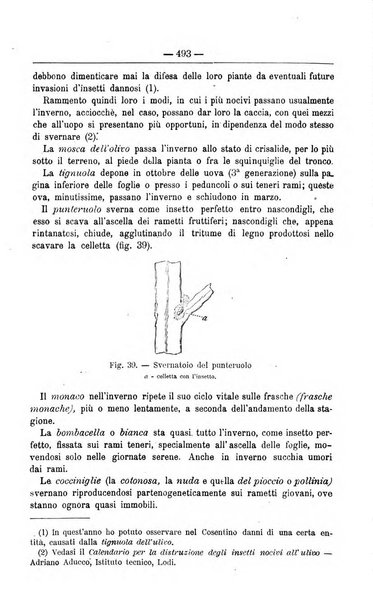 Il coltivatore giornale di agricoltura pratica