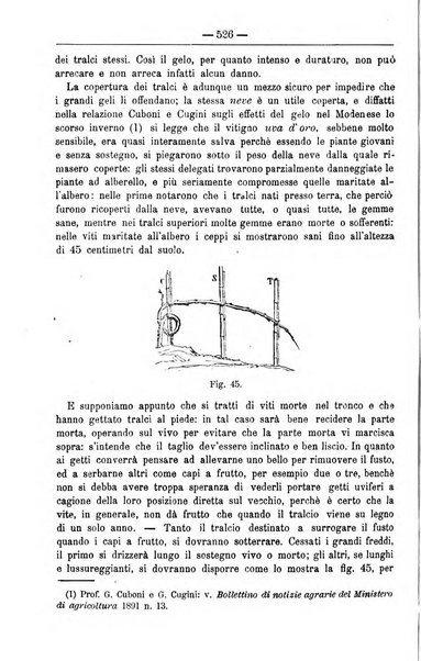 Il coltivatore giornale di agricoltura pratica