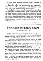 giornale/TO00181640/1891/unico/00001418