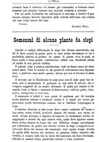 giornale/TO00181640/1891/unico/00001490