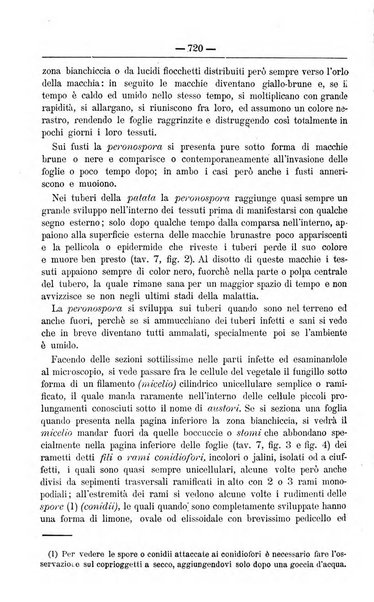 Il coltivatore giornale di agricoltura pratica