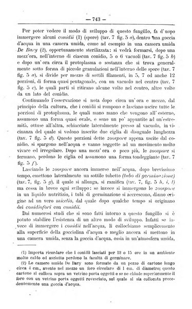 Il coltivatore giornale di agricoltura pratica