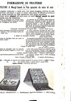 giornale/TO00181640/1892/unico/00000243