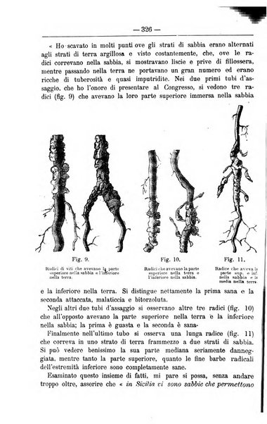 Il coltivatore giornale di agricoltura pratica