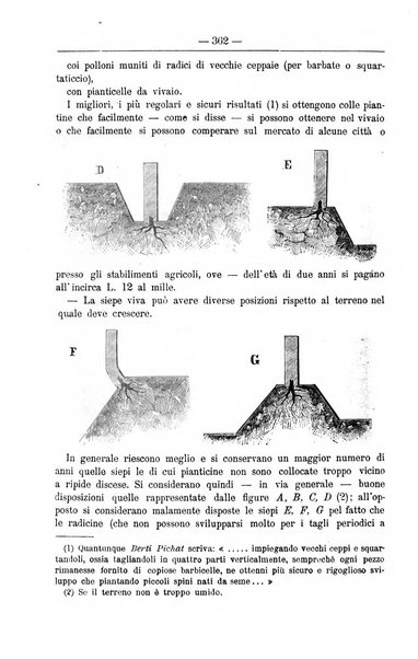 Il coltivatore giornale di agricoltura pratica