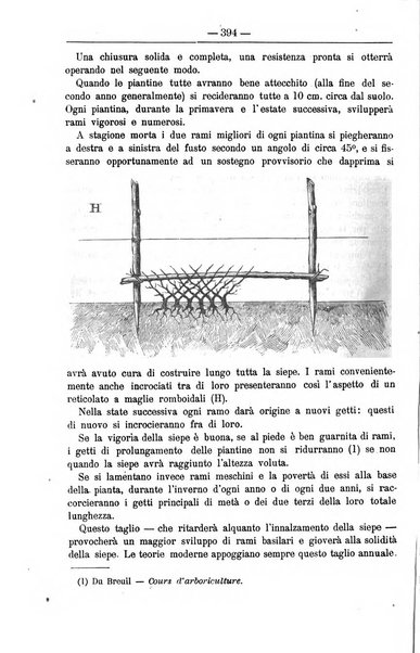 Il coltivatore giornale di agricoltura pratica