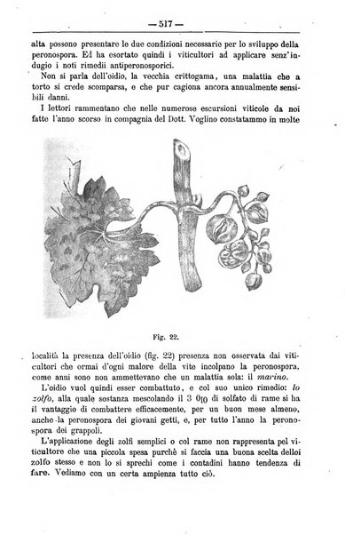 Il coltivatore giornale di agricoltura pratica