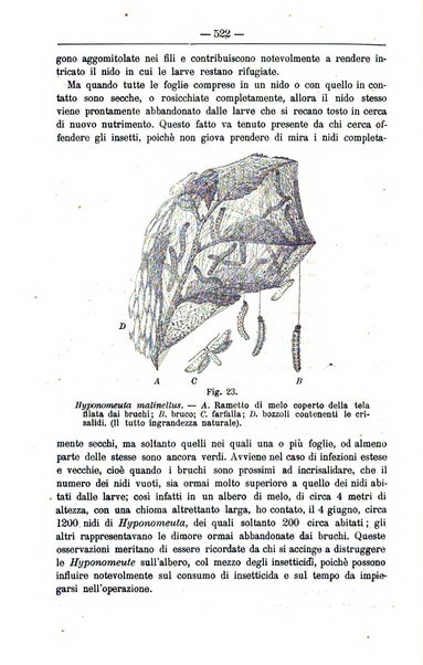 Il coltivatore giornale di agricoltura pratica