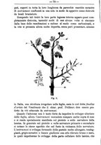 giornale/TO00181640/1893/unico/00000842