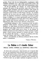 giornale/TO00181640/1893/unico/00000873