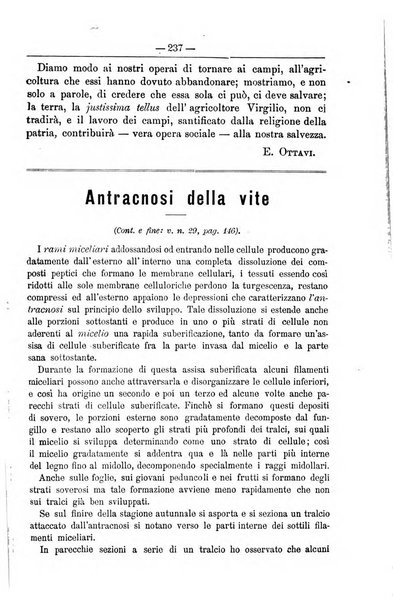 Il coltivatore giornale di agricoltura pratica