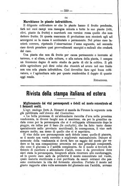 Il coltivatore giornale di agricoltura pratica