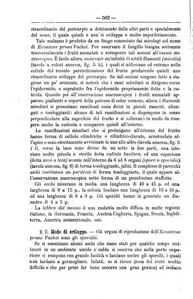 Il coltivatore giornale di agricoltura pratica