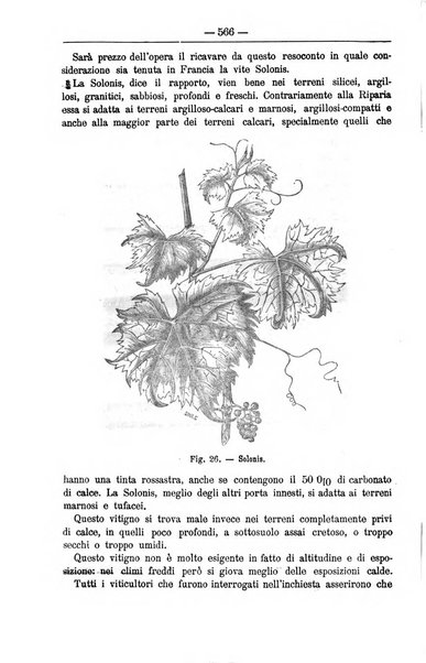 Il coltivatore giornale di agricoltura pratica