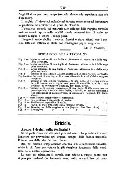 Il coltivatore giornale di agricoltura pratica