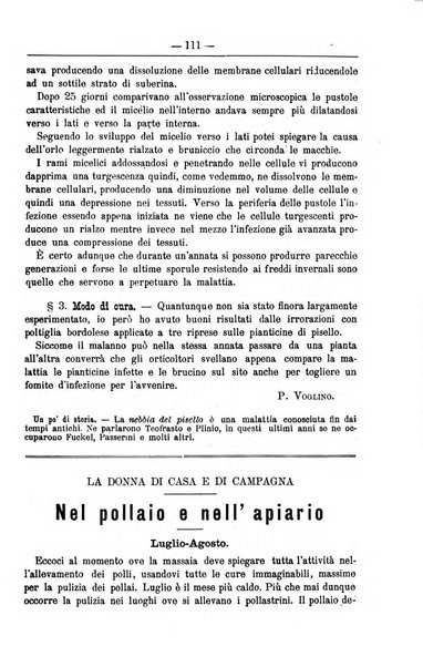 Il coltivatore giornale di agricoltura pratica