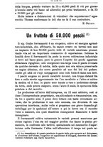 giornale/TO00181640/1894/unico/00000950