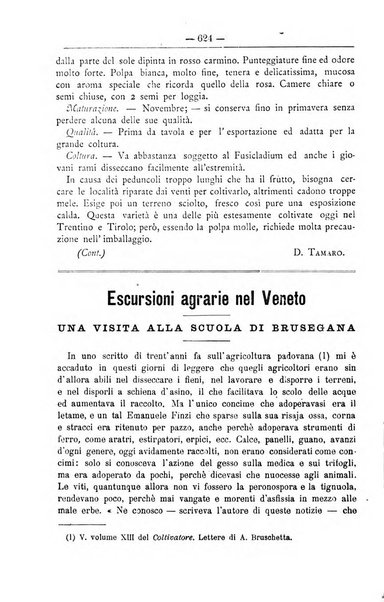 Il coltivatore giornale di agricoltura pratica