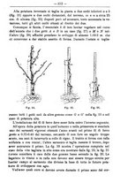 giornale/TO00181640/1895/unico/00000337