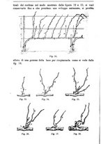 giornale/TO00181640/1895/unico/00000340