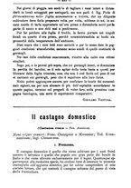 giornale/TO00181640/1895/unico/00000493