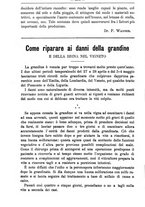 giornale/TO00181640/1895/unico/00000558