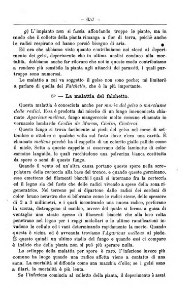 Il coltivatore giornale di agricoltura pratica