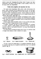 giornale/TO00181640/1895/unico/00000781