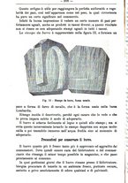 giornale/TO00181640/1895/unico/00000980