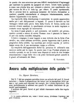 giornale/TO00181640/1896/unico/00000278