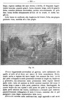 giornale/TO00181640/1896/unico/00000305