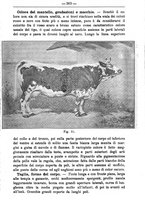 giornale/TO00181640/1896/unico/00000307