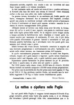 giornale/TO00181640/1896/unico/00000310