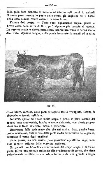 Il coltivatore giornale di agricoltura pratica