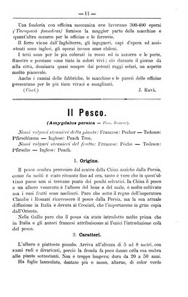 Il coltivatore giornale di agricoltura pratica