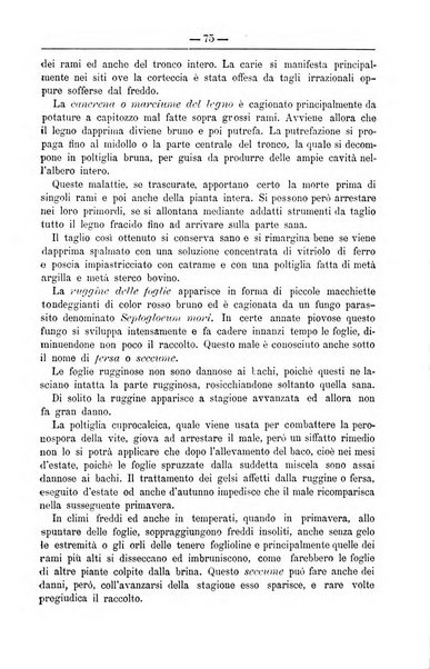 Il coltivatore giornale di agricoltura pratica