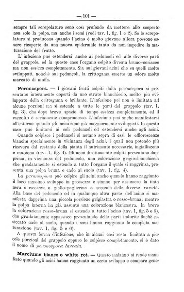 Il coltivatore giornale di agricoltura pratica