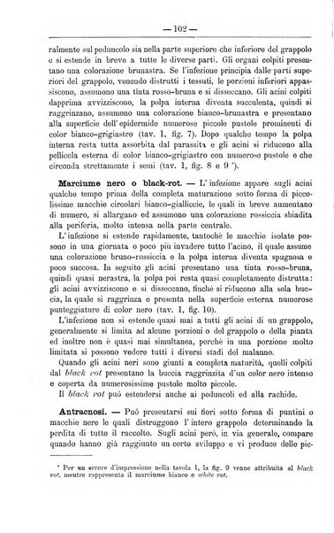 Il coltivatore giornale di agricoltura pratica