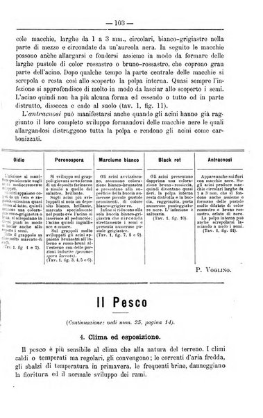 Il coltivatore giornale di agricoltura pratica