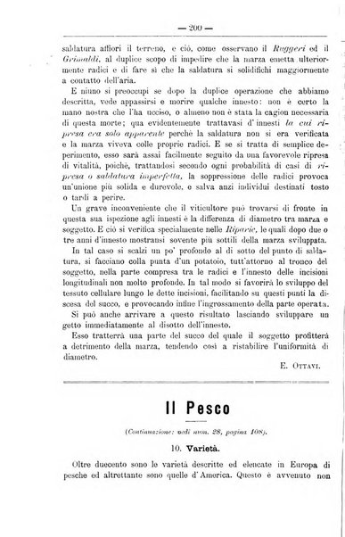 Il coltivatore giornale di agricoltura pratica