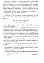 giornale/TO00181640/1896/unico/00001497