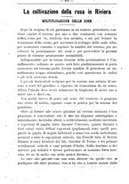 giornale/TO00181640/1899/unico/00000066