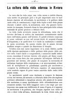 giornale/TO00181640/1901/V.1/00000021