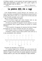 giornale/TO00181640/1901/V.1/00000053