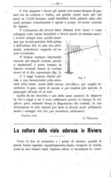 Il coltivatore giornale di agricoltura pratica