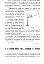 giornale/TO00181640/1901/V.1/00000054